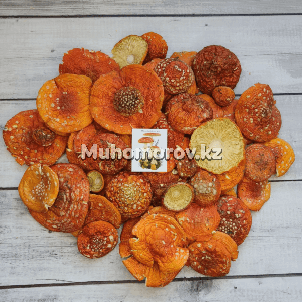 Мухомор Красный (Amanita Muscaria) - высший сорт