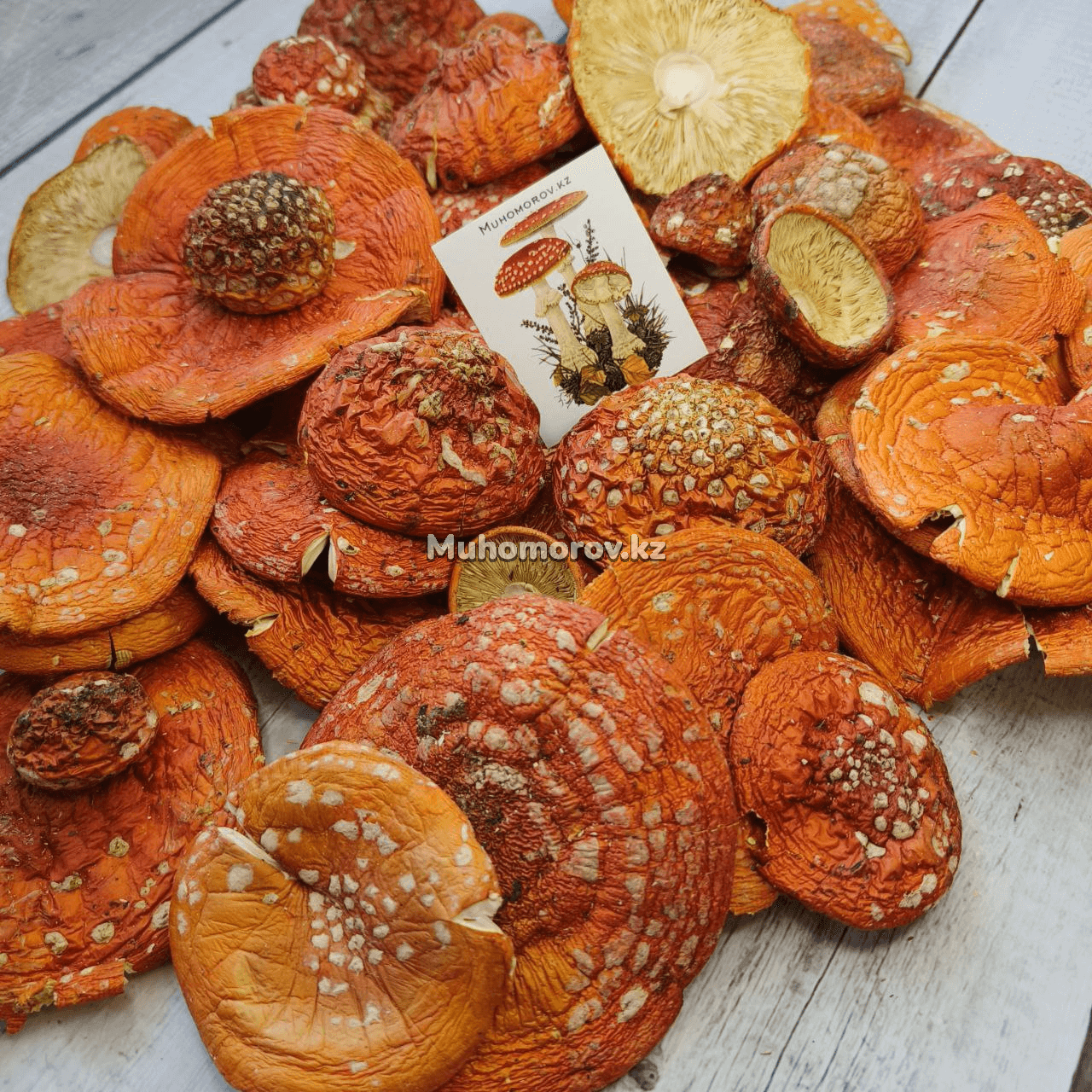 изображение_2022-10-04_220037494 Мухомор Красный (Amanita Muscaria) - высший сорт