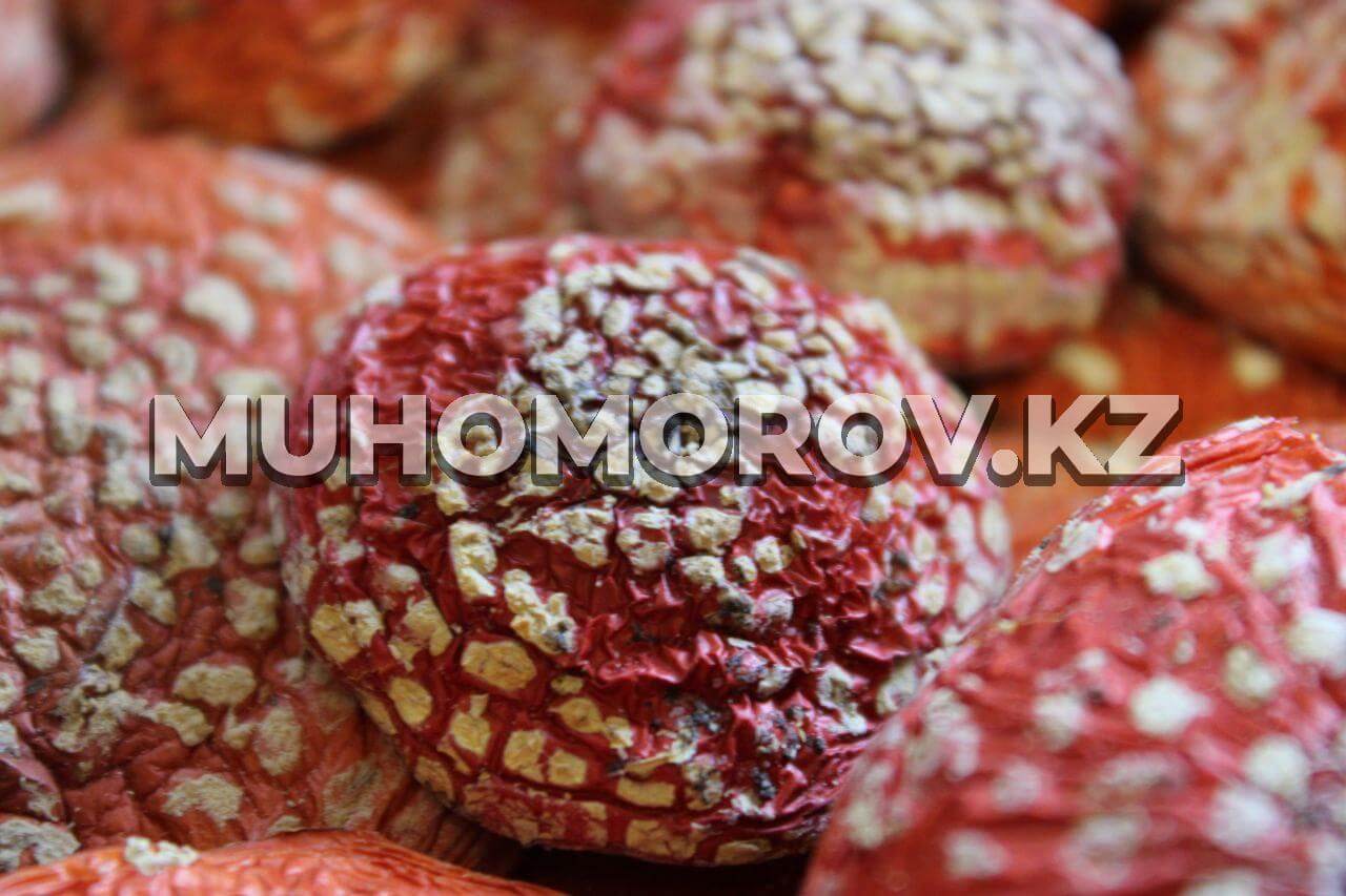 Мухомор Красный Мухомор Красный