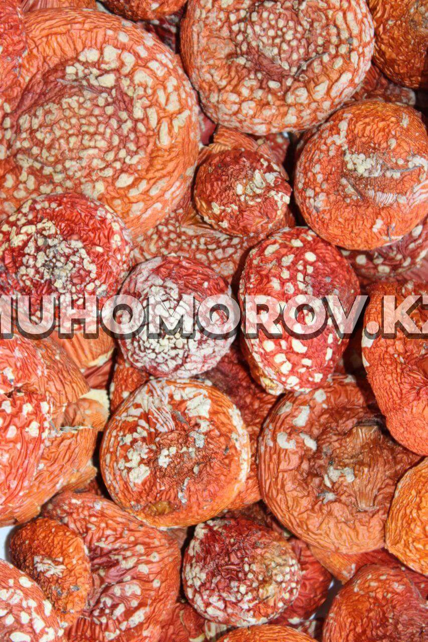 photo_2023-07-06_21-19-53