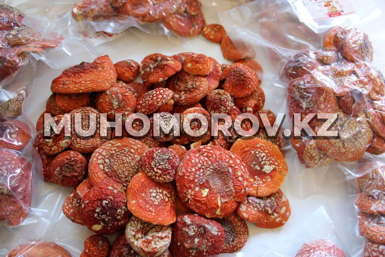 Мухомор Красный Мухомор Красный Шляпки