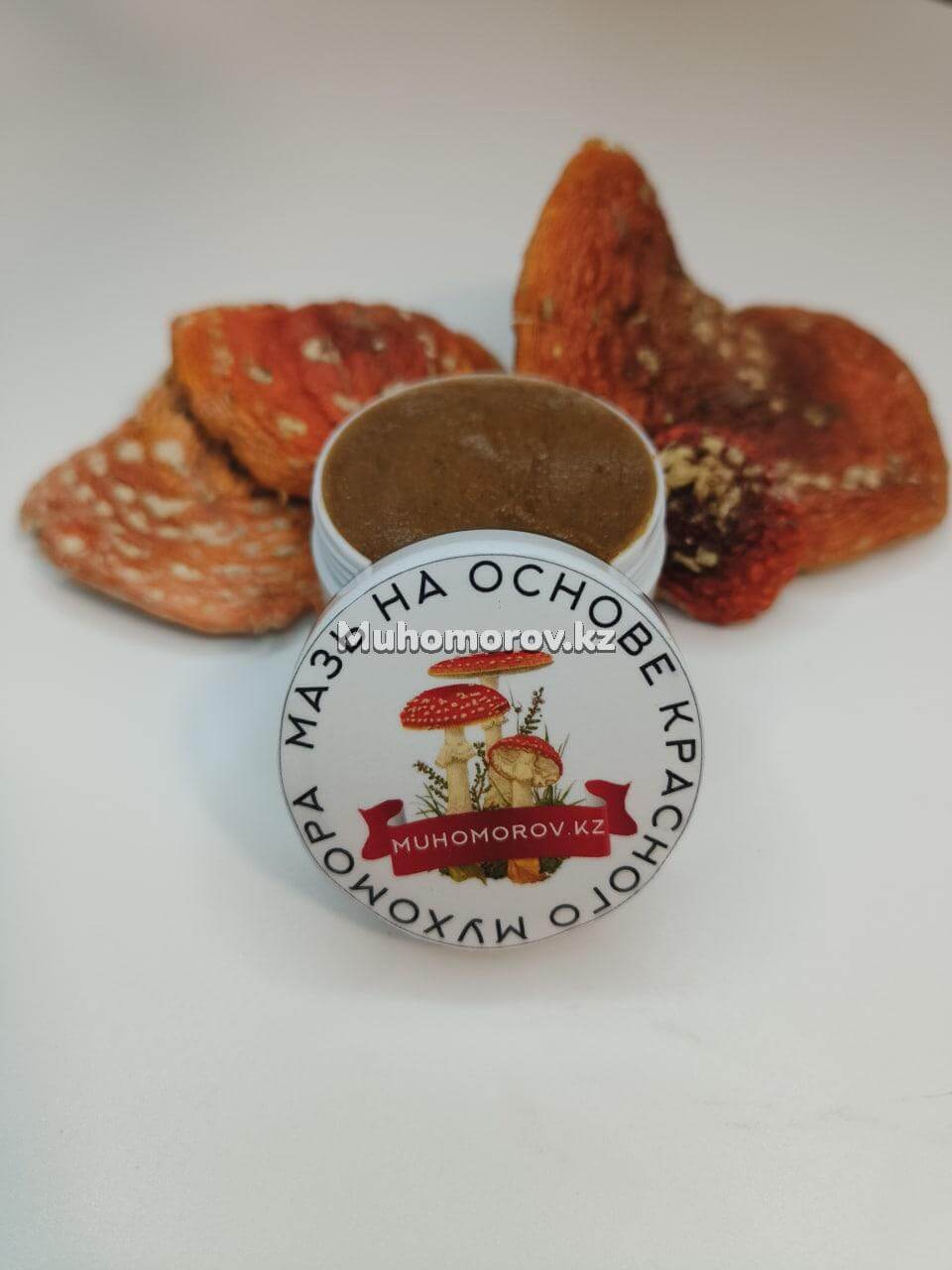 photo_2022-11-28_01-51-30 (2) Мухоморная Мазь в Казахстане