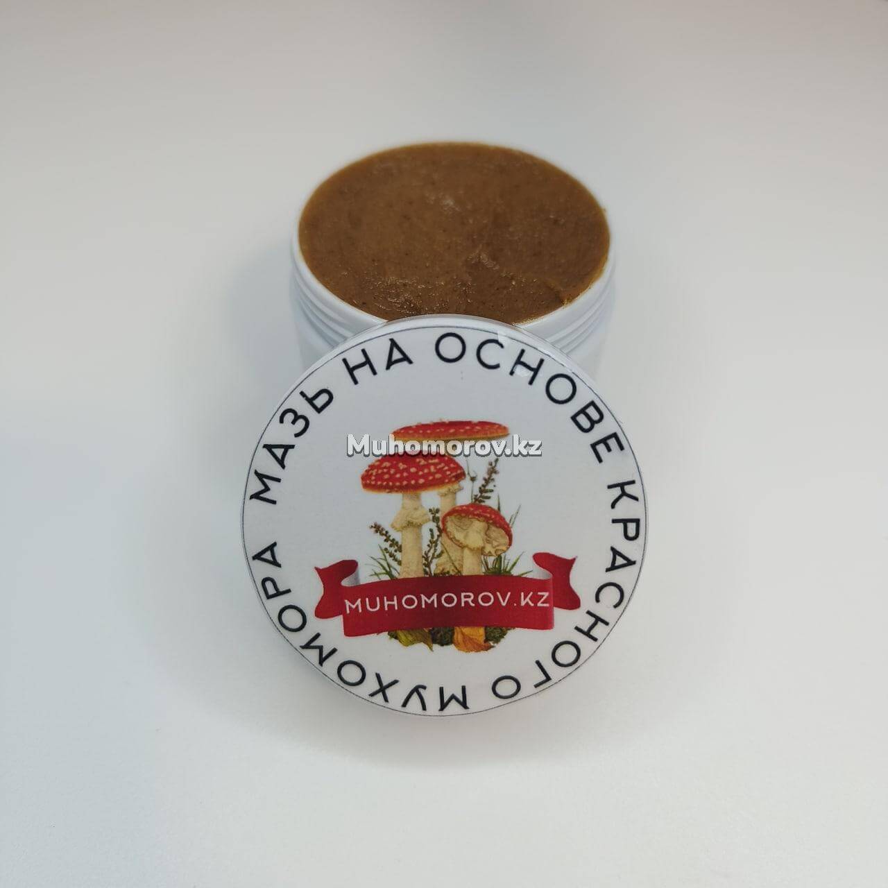 photo_2022-11-28_01-51-30 Мухоморная Мазь