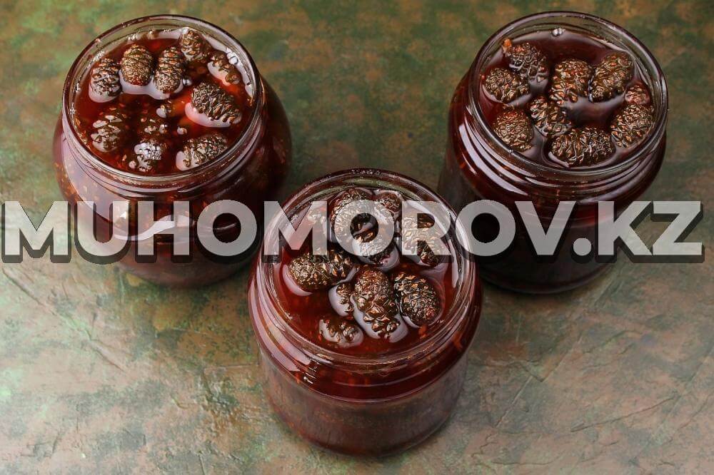 варенье из сосновых шишек варенье из сосновых шишек