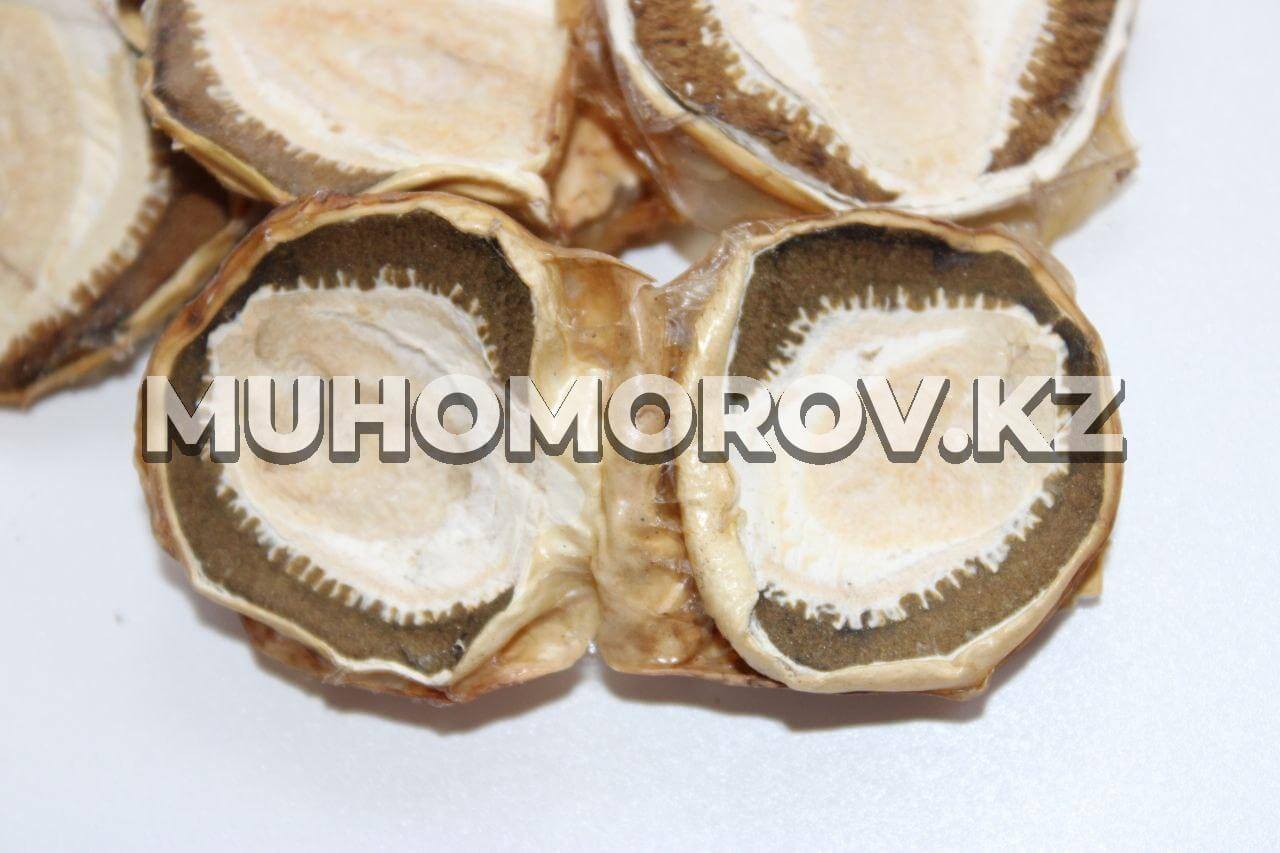 photo_2023-05-24_23-57-21