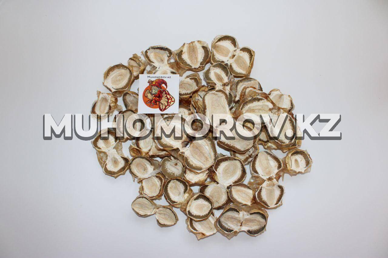 photo_2023-05-24_23-57-25 Весёлка обыкновенная сушенная