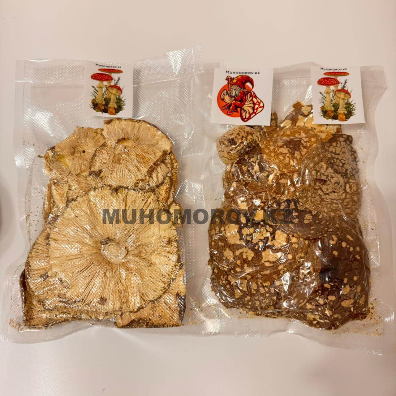 photo_2024-11-25_18-40-53 (2) Мухомор Королевский шляпки Алматы