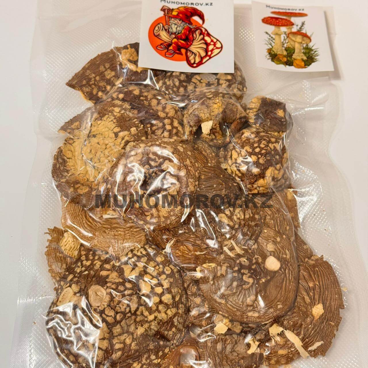 photo_2024-11-25_18-40-53