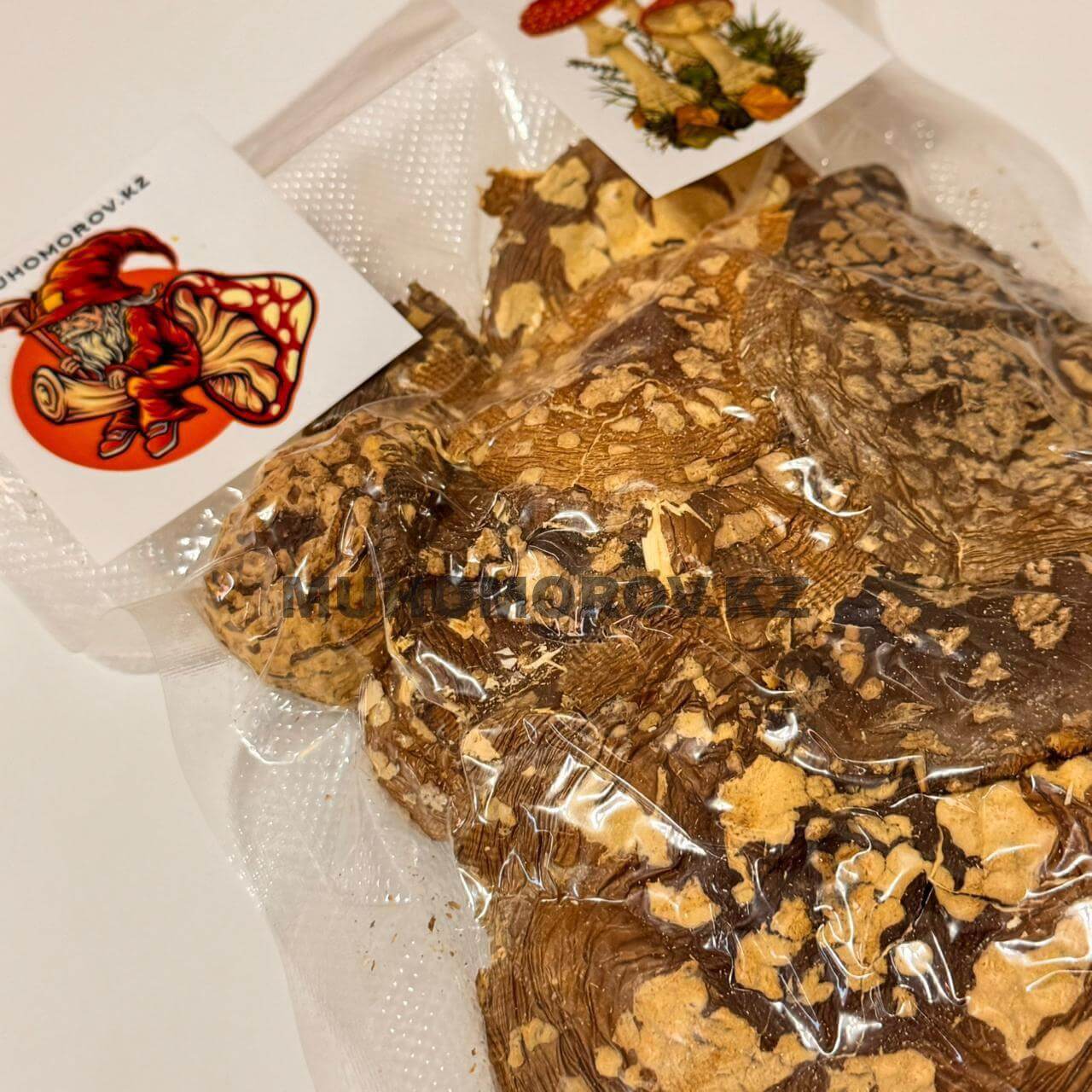 photo_2024-11-25_18-40-54 (2)