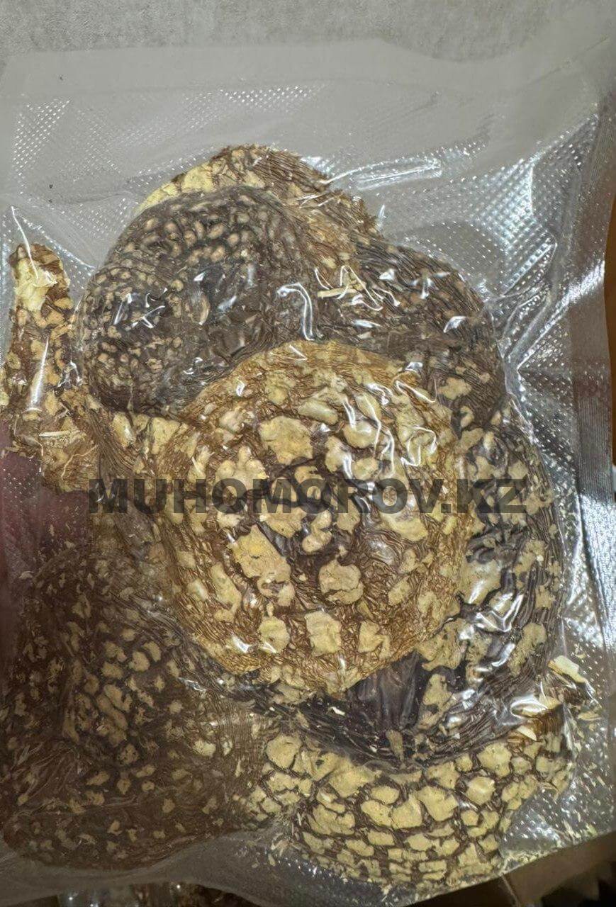 photo_2024-11-25_18-40-54 (3)