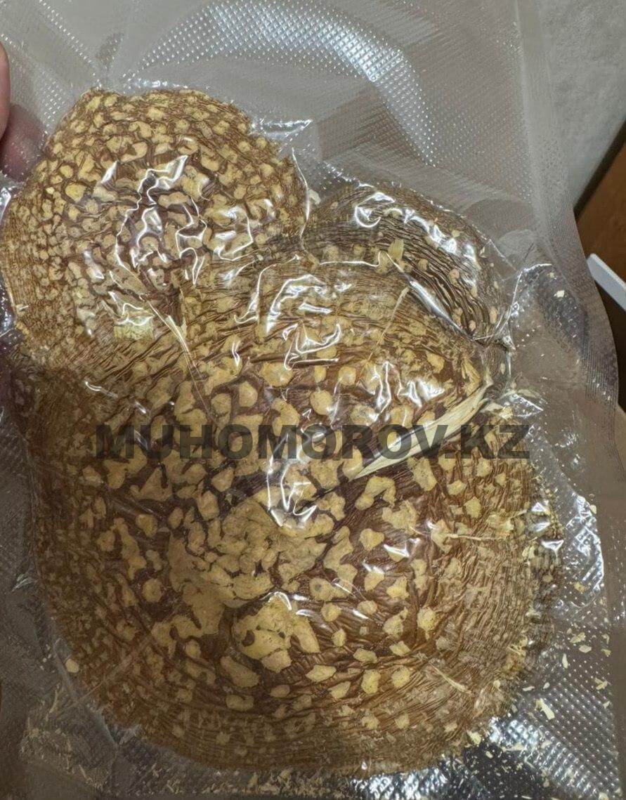 photo_2024-11-25_18-40-54 (4)