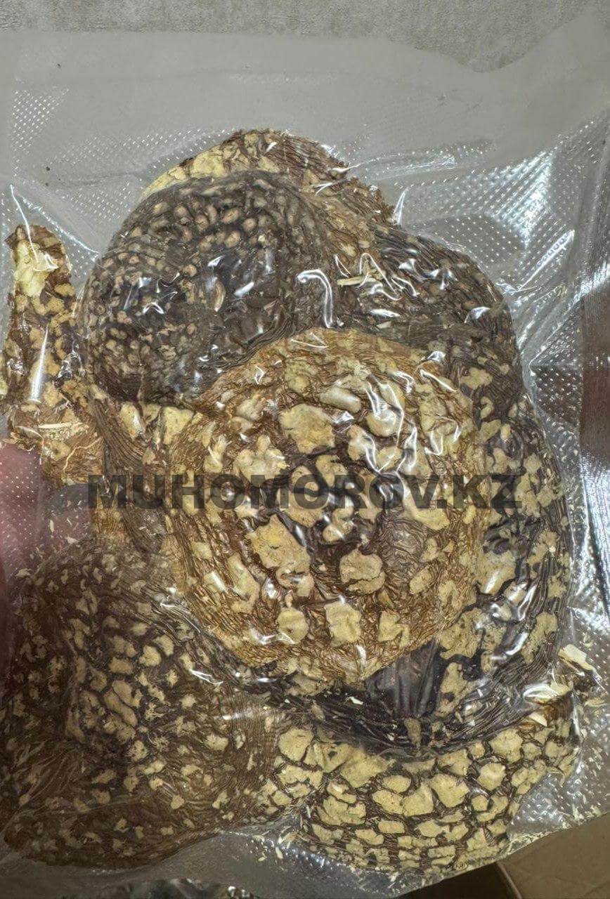 photo_2024-11-25_18-40-54 (5)