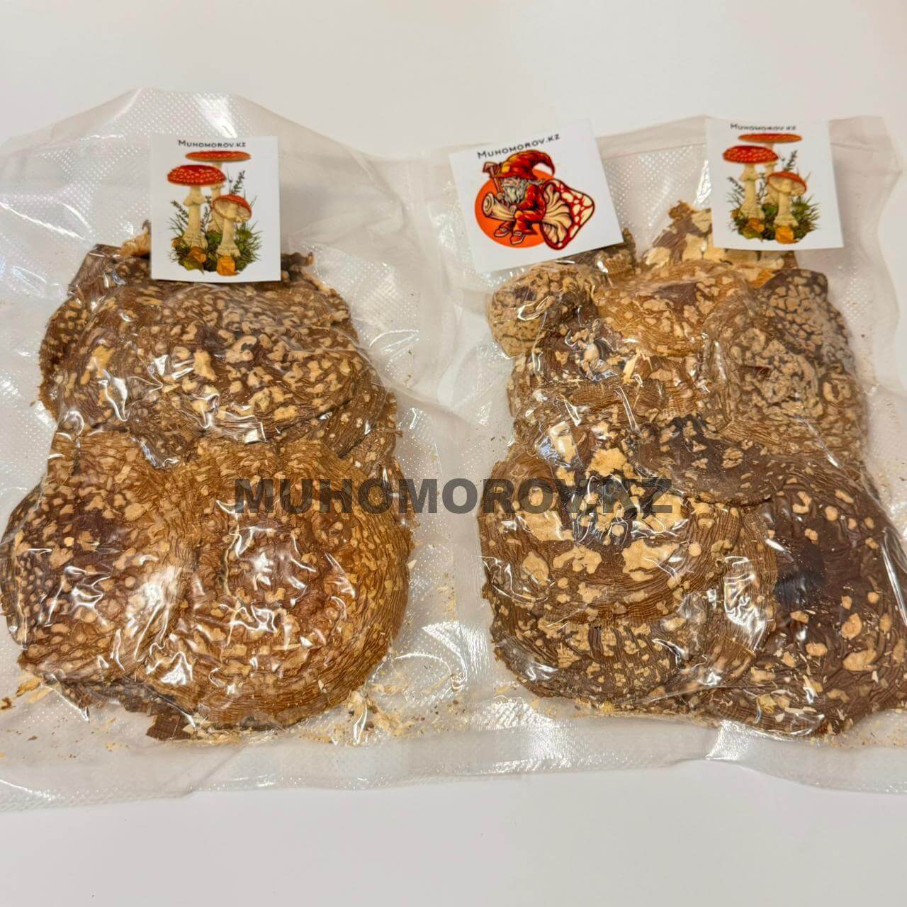 photo_2024-11-25_18-40-54 Мухомор Королевский Алматы