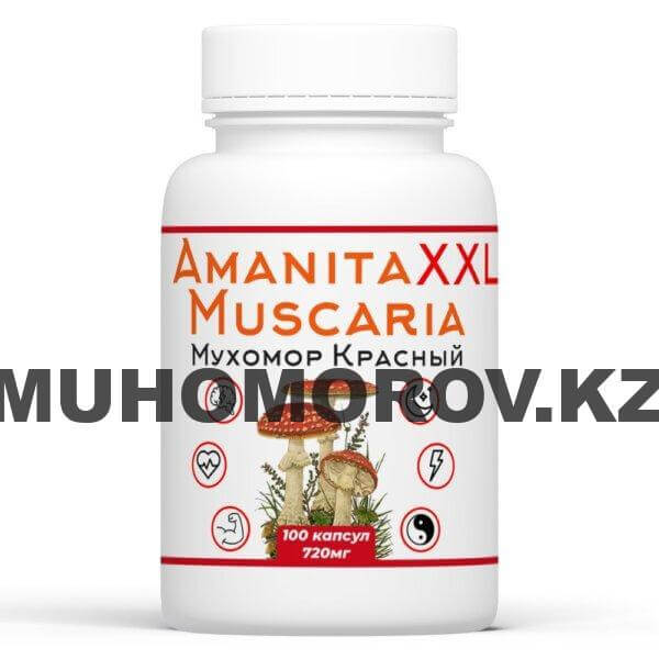 Красный Мухомор XXL микродозинг 