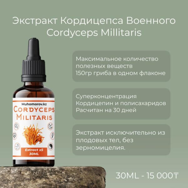 Экстракт Кордицепс Милитарис