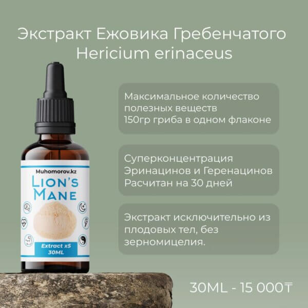 Экстракт Ежовика Гребенчатого жикдий